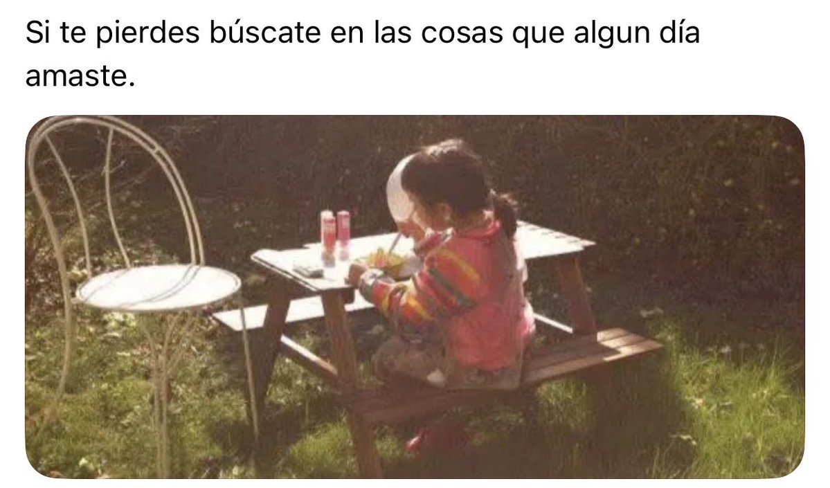 Cementerio De Libros tweet media