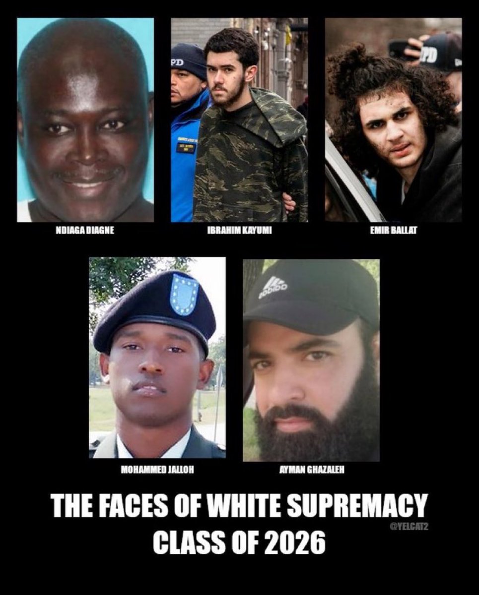 Gunther Eagleman™ tweet media