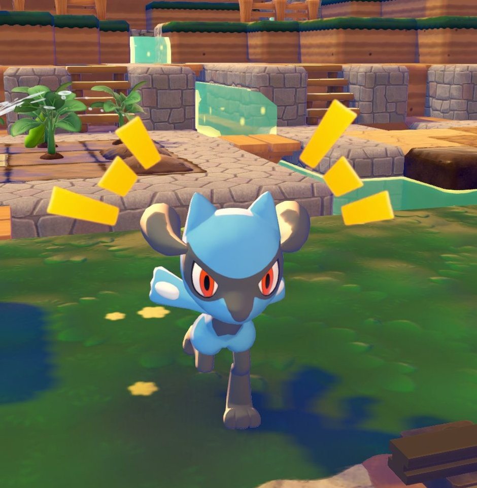 yaminekosan524's tweet photo. ぽこあポケモン
幸せ💕可愛いね🎵 https://t.co/ywbZSG2dXQ