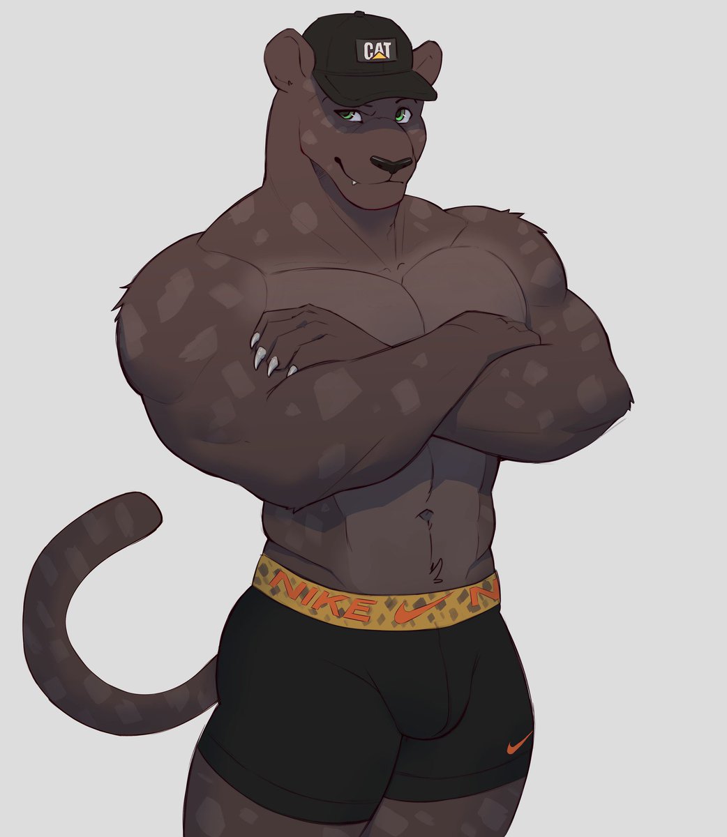 DerPanter_ tweet media