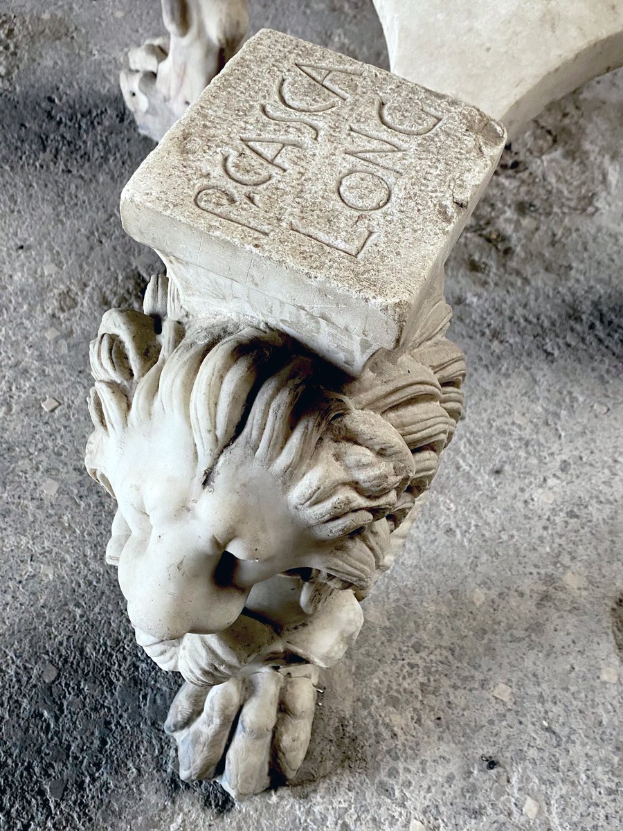 Dr Sophie Hay tweet media