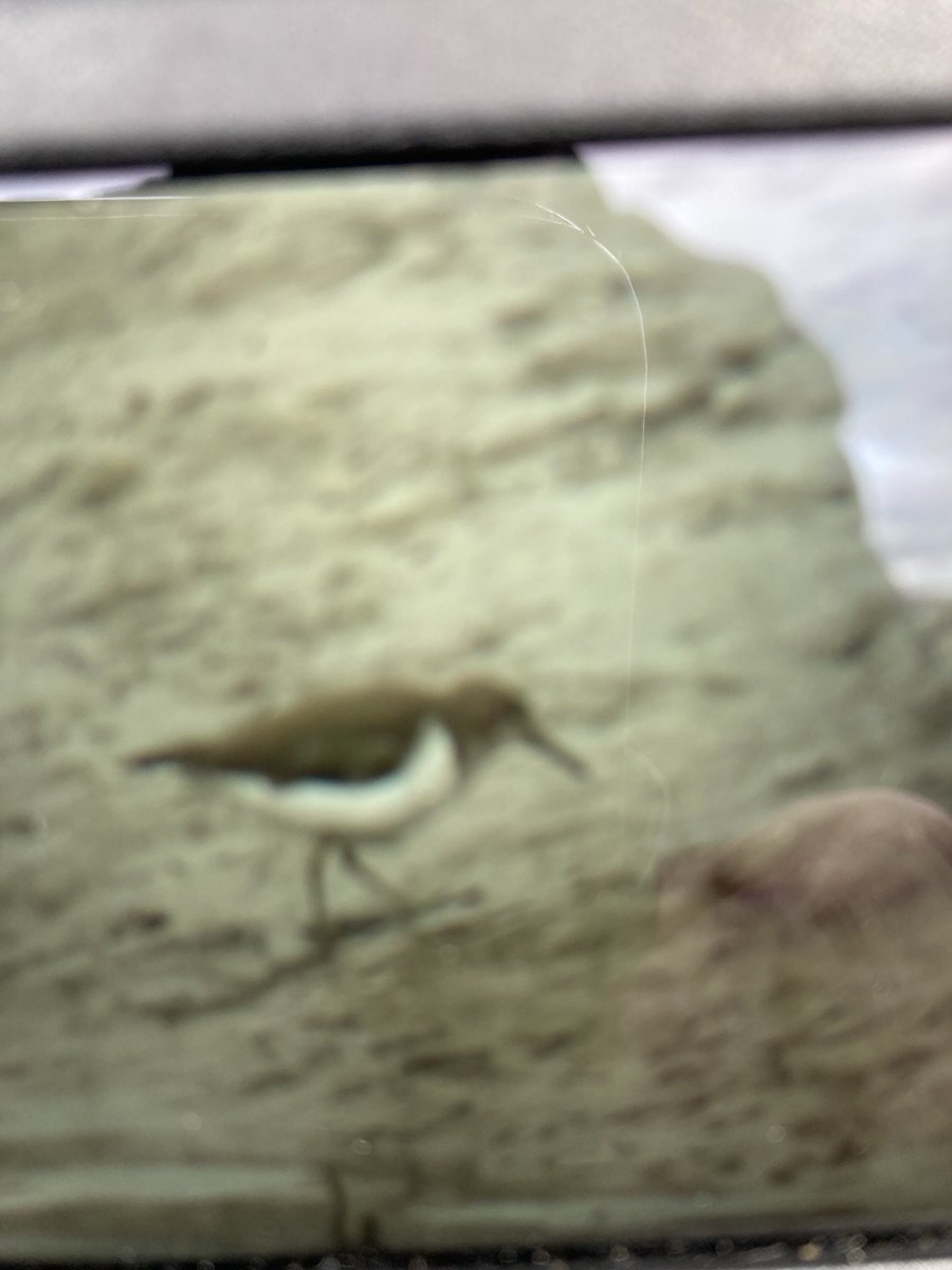 Peter Garbutt tweet media