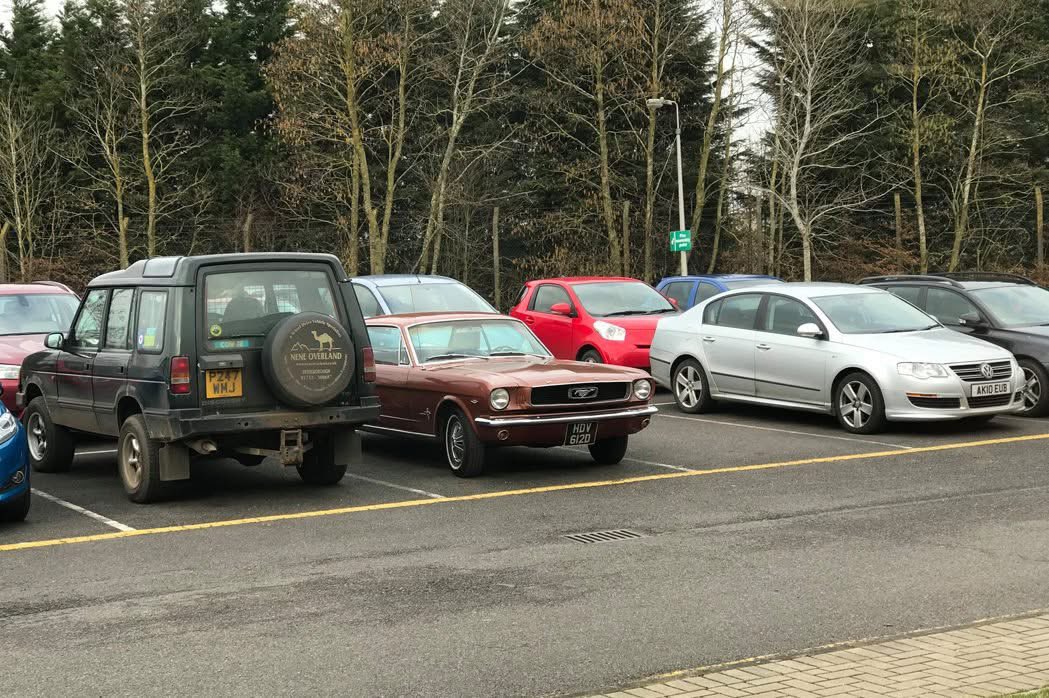 Mark Dixon tweet media