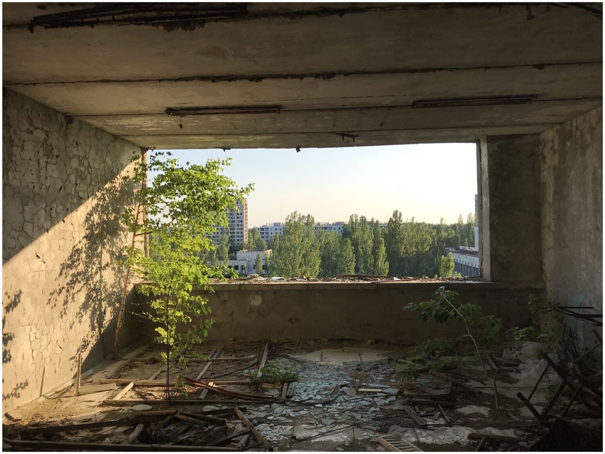 Erle Ellis (艾尔青) tweet media