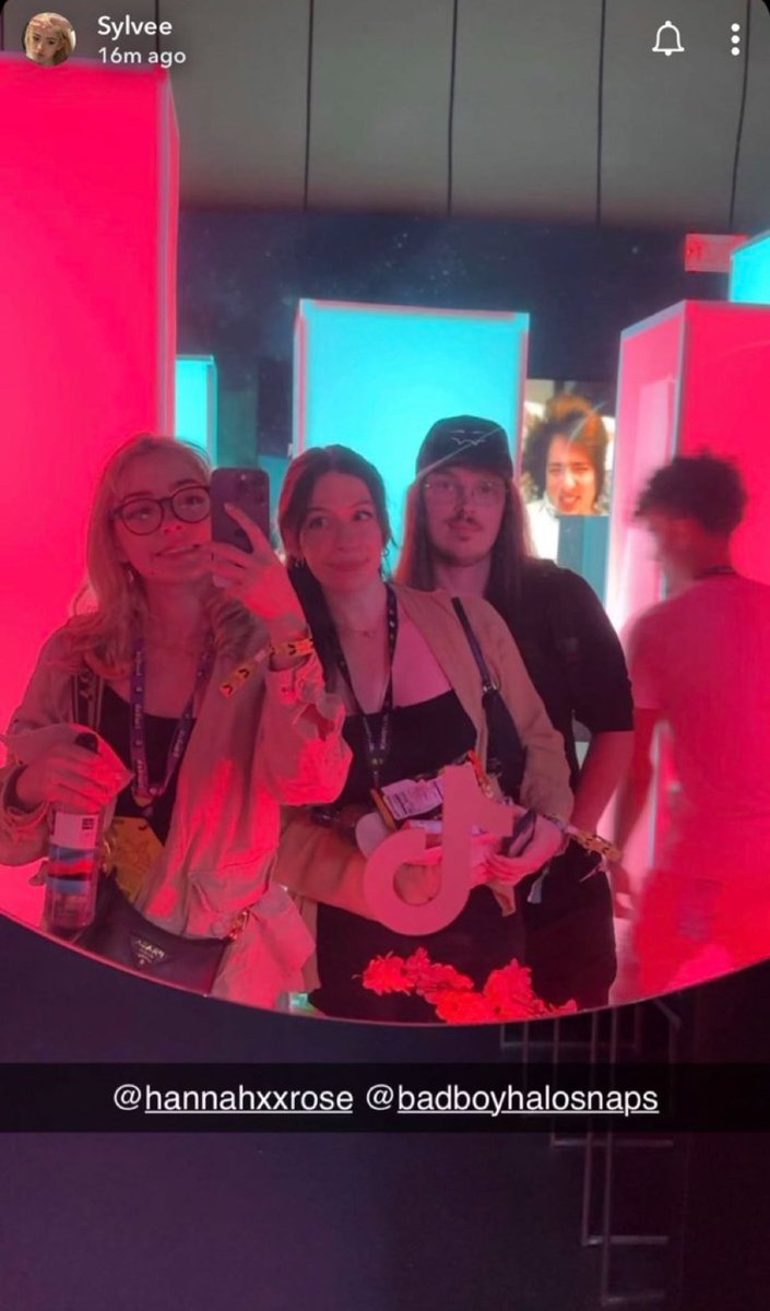 skepu-chan tweet media