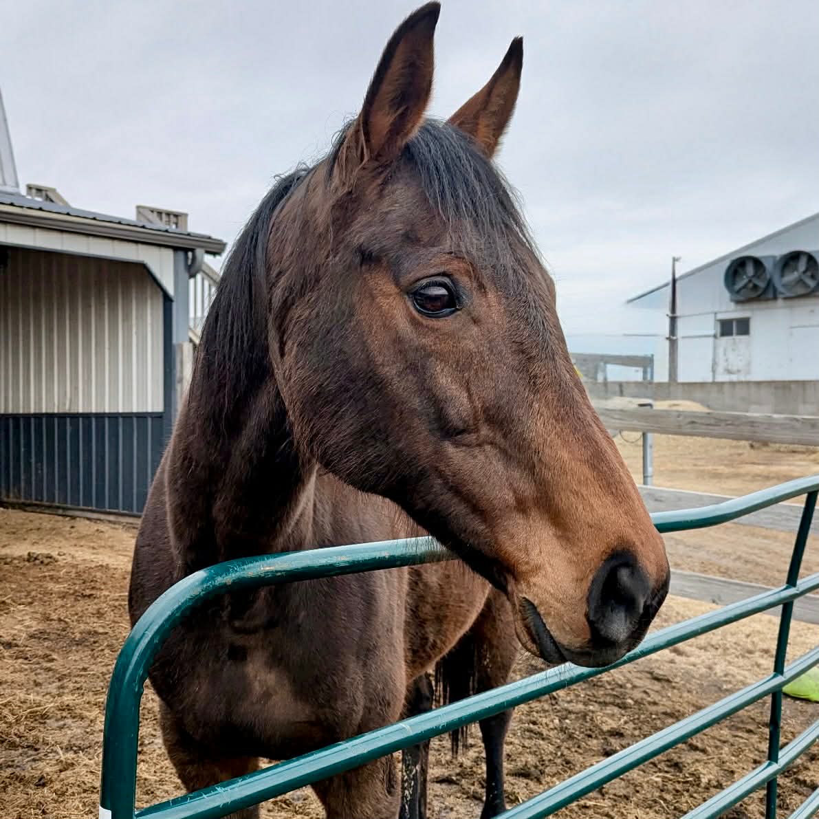 R.A.C.E. Fund, Inc. tweet media