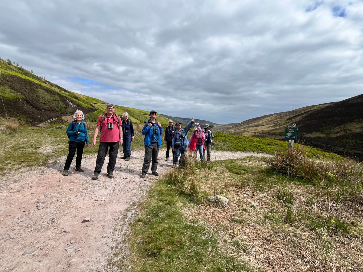 Magic Moments with Birds tweet media