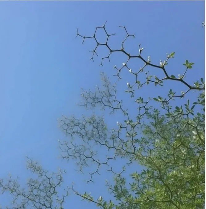 Favour Chime tweet media