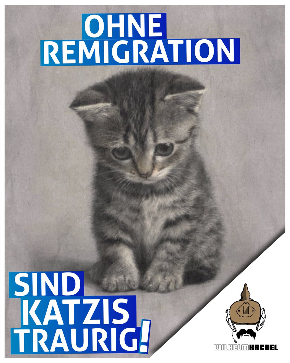 Neue Perspektive: Lib-Cucks wollen, dass arme Kätzchen leiden. Sei nicht so wie sie!