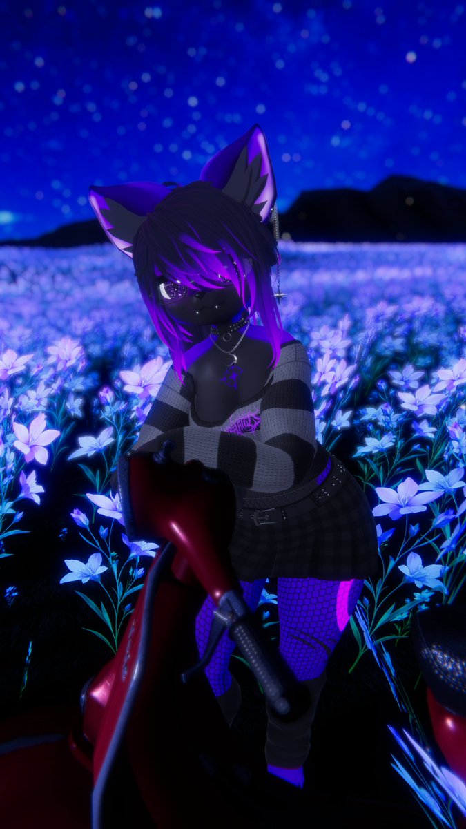 Told you I knew a spot~