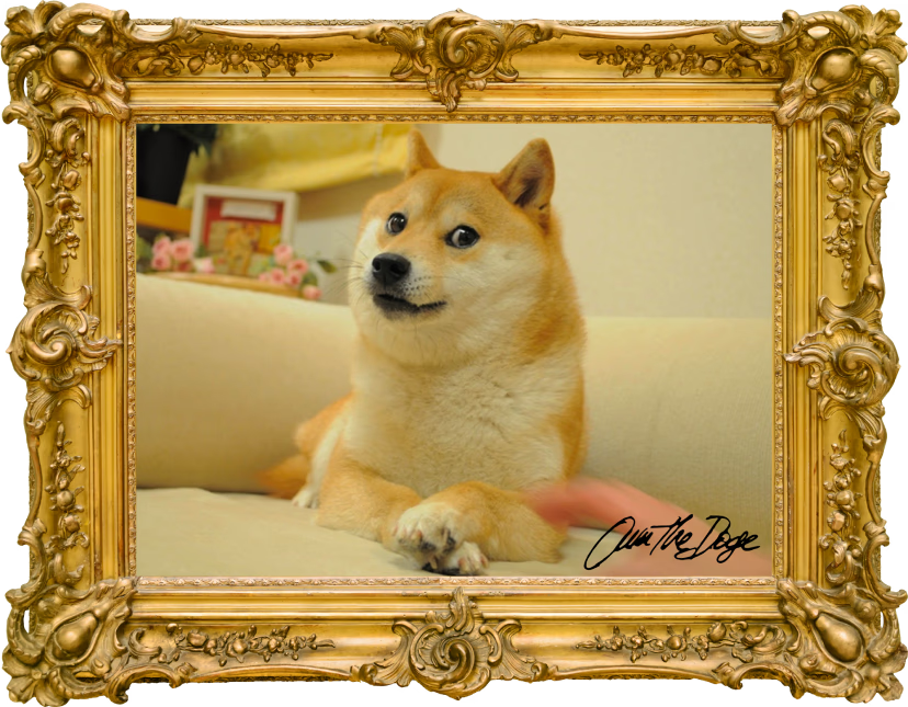 Oscar OG Shiba Inu tweet media