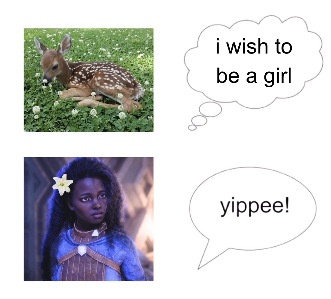 abigail 🌷 tweet media