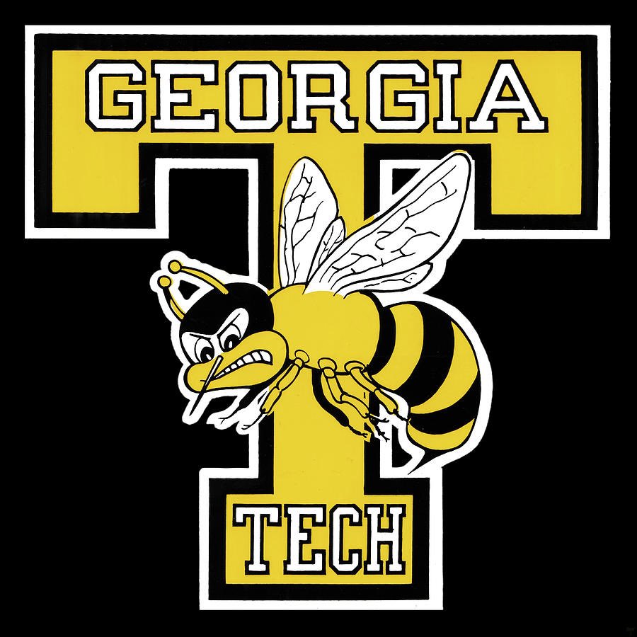 Ismael Schiefer tweet media