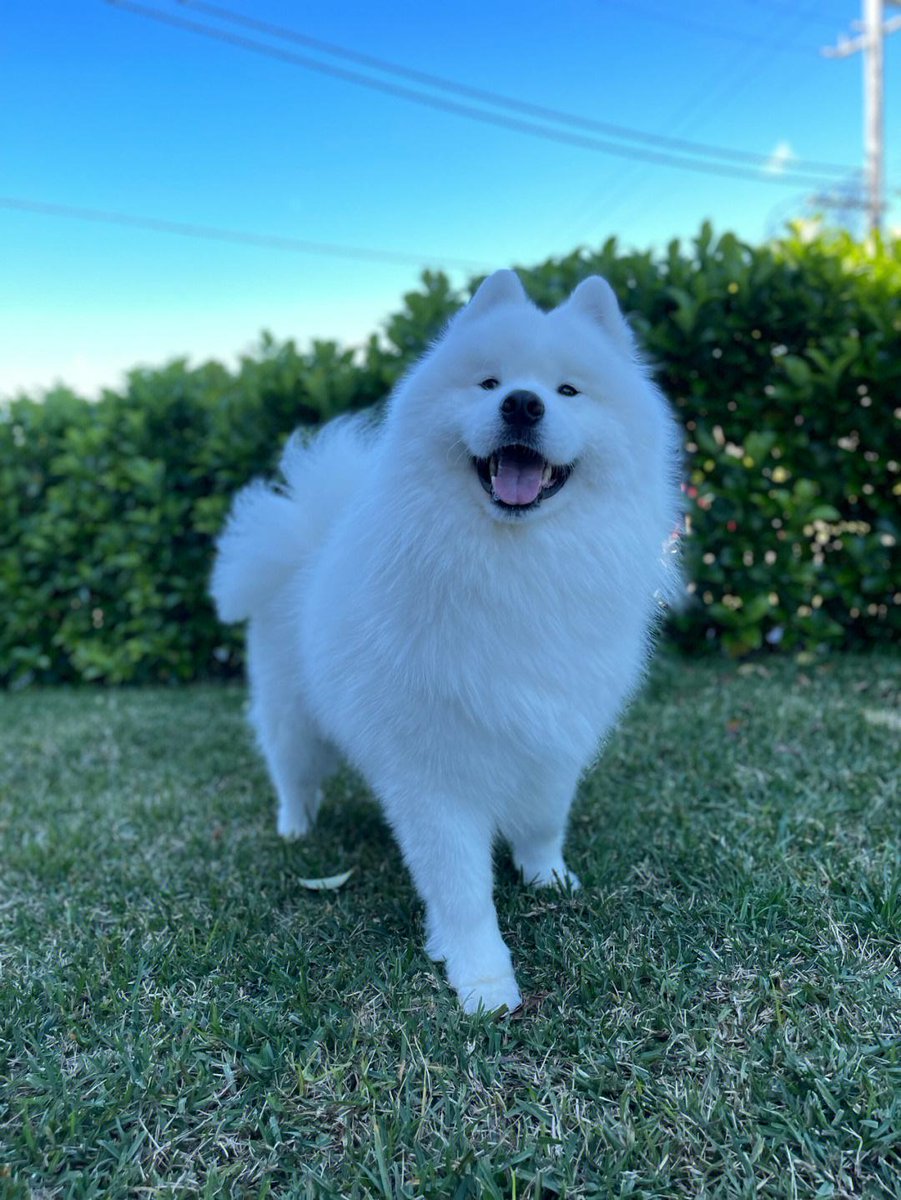 TREVOR JAMES tweet media