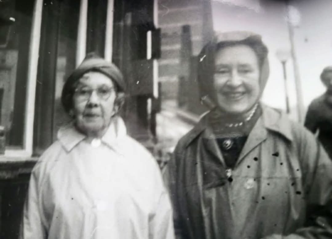 Doris Speed Fans tweet media