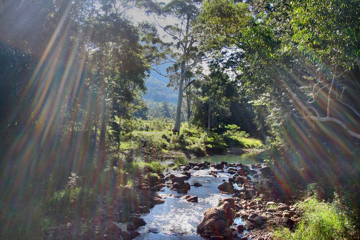 Кирилл Стугин tweet media