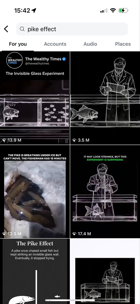 rise_crypt tweet media