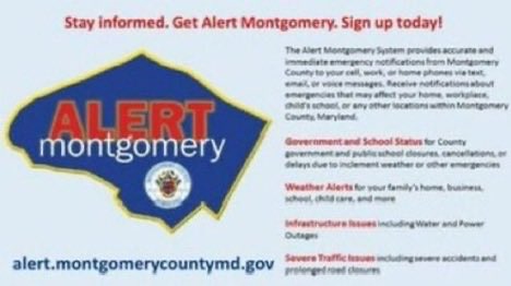 Pete Piringer tweet media