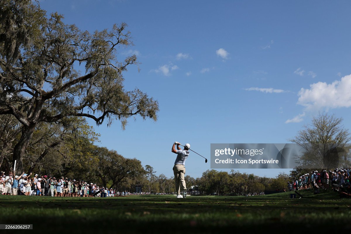 RORY FANS tweet media
