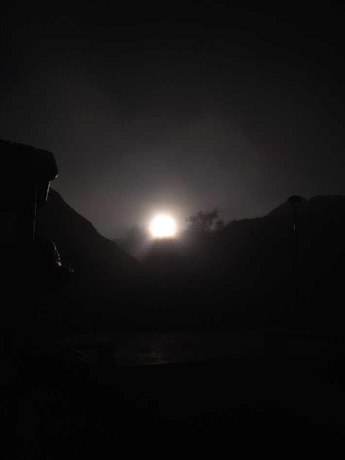 Electric Wizard tweet media