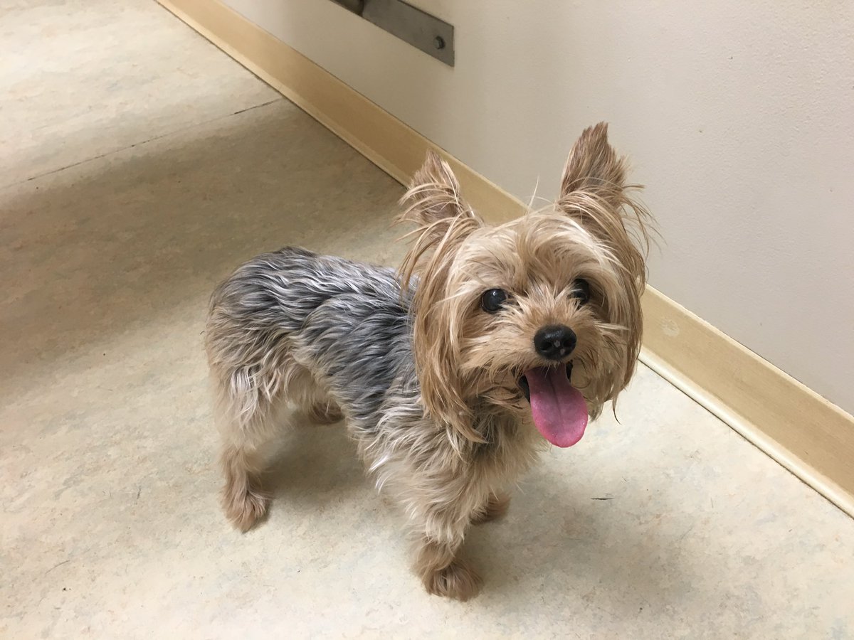 Jake's Mum & Jake tweet media