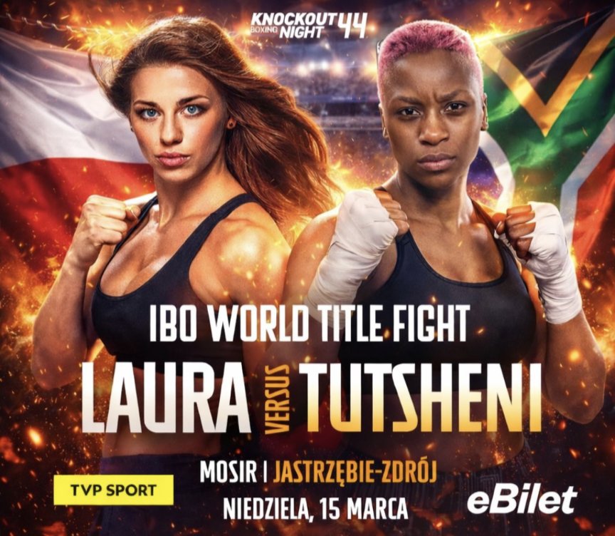 IBOBoxing tweet media