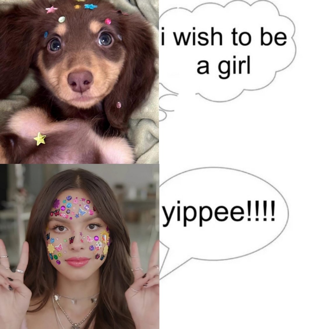 olivia rodrigo archive tweet media