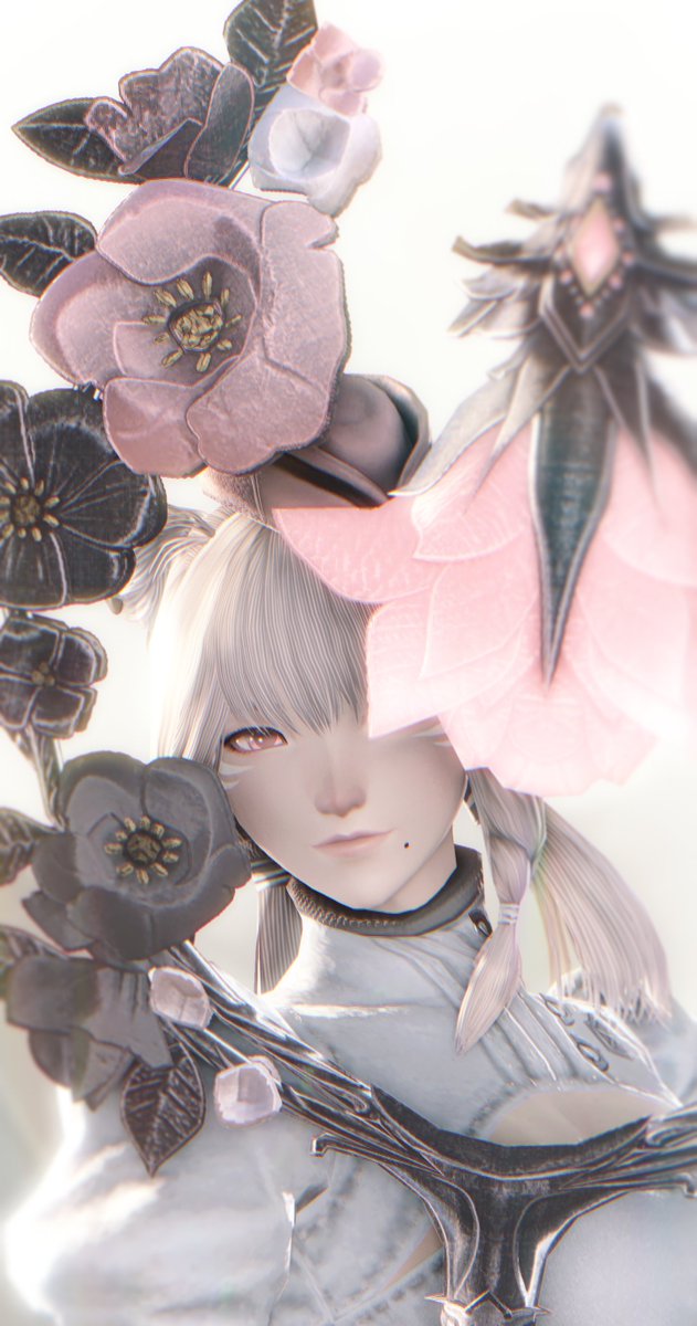 ʚ Cure ɞ tweet media