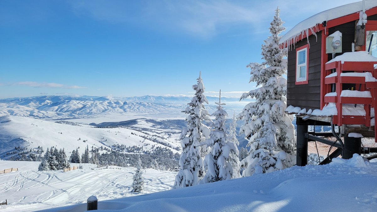 p a r a m e t r tweet media