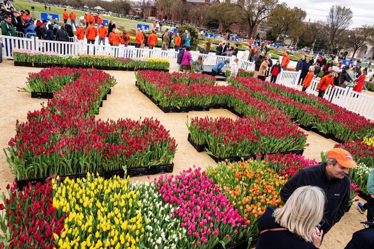 Netherlands Embassy in the US 🇳🇱🇺🇸 tweet media