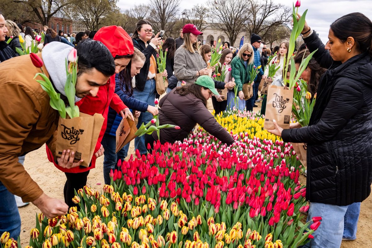 Netherlands Embassy in the US 🇳🇱🇺🇸 tweet media