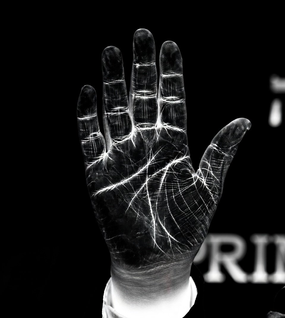 Trey Tran tweet media