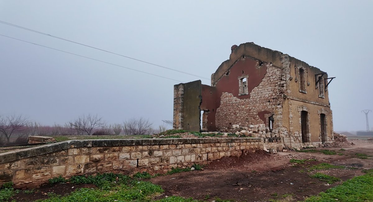 Reap 🇸🇾 tweet media