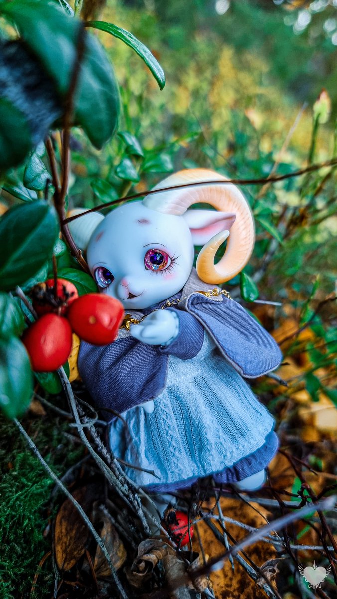 Plucking berries last summer💙 #petitgem #Soom #bjd #soomonpaan #soompetitgem #balljointeddoll