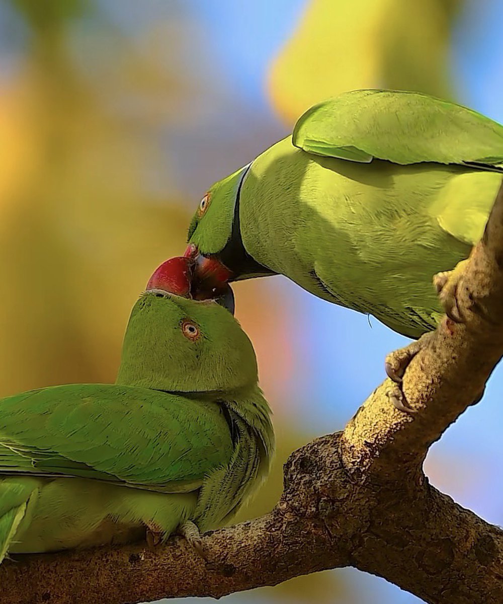 Gud night 🌼🖐️💯

Rest 
Reset 
Bang on Tomorrow