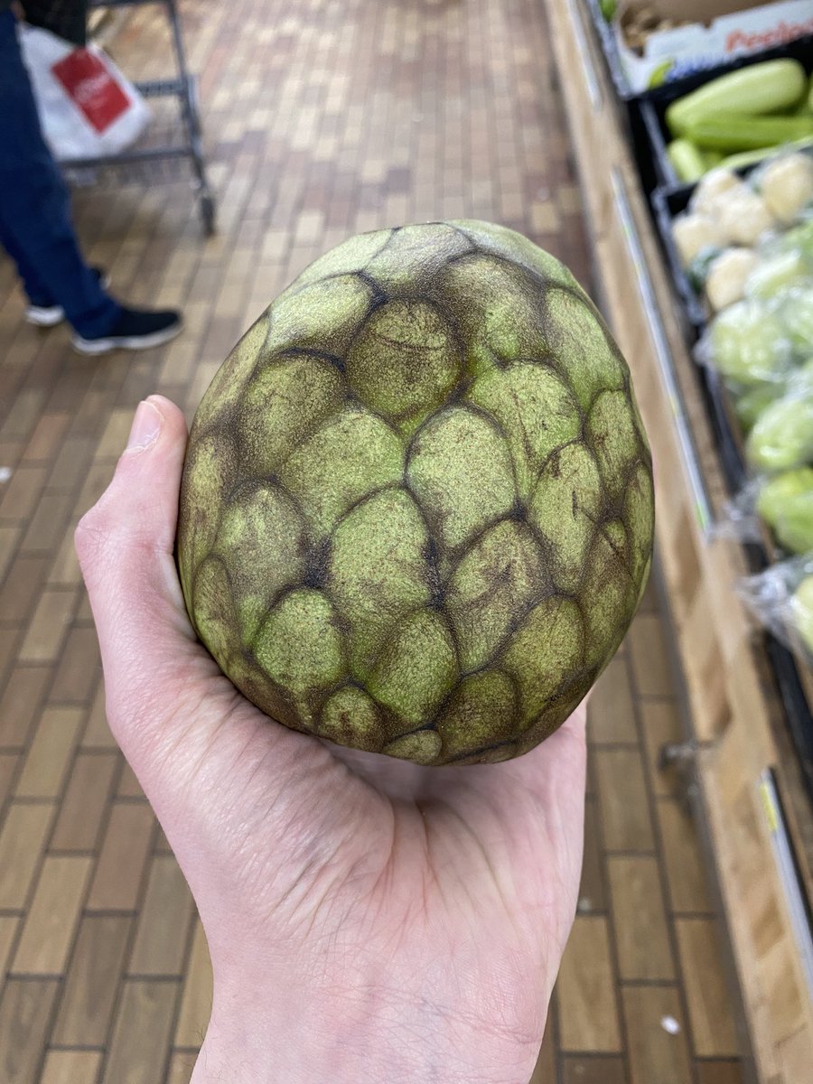 Frost Dragonheart tweet media