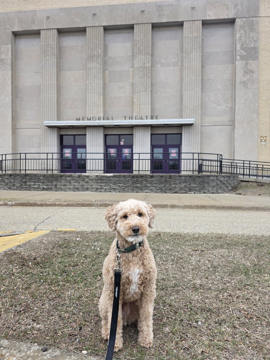 State Representative Clinton Anderson tweet media