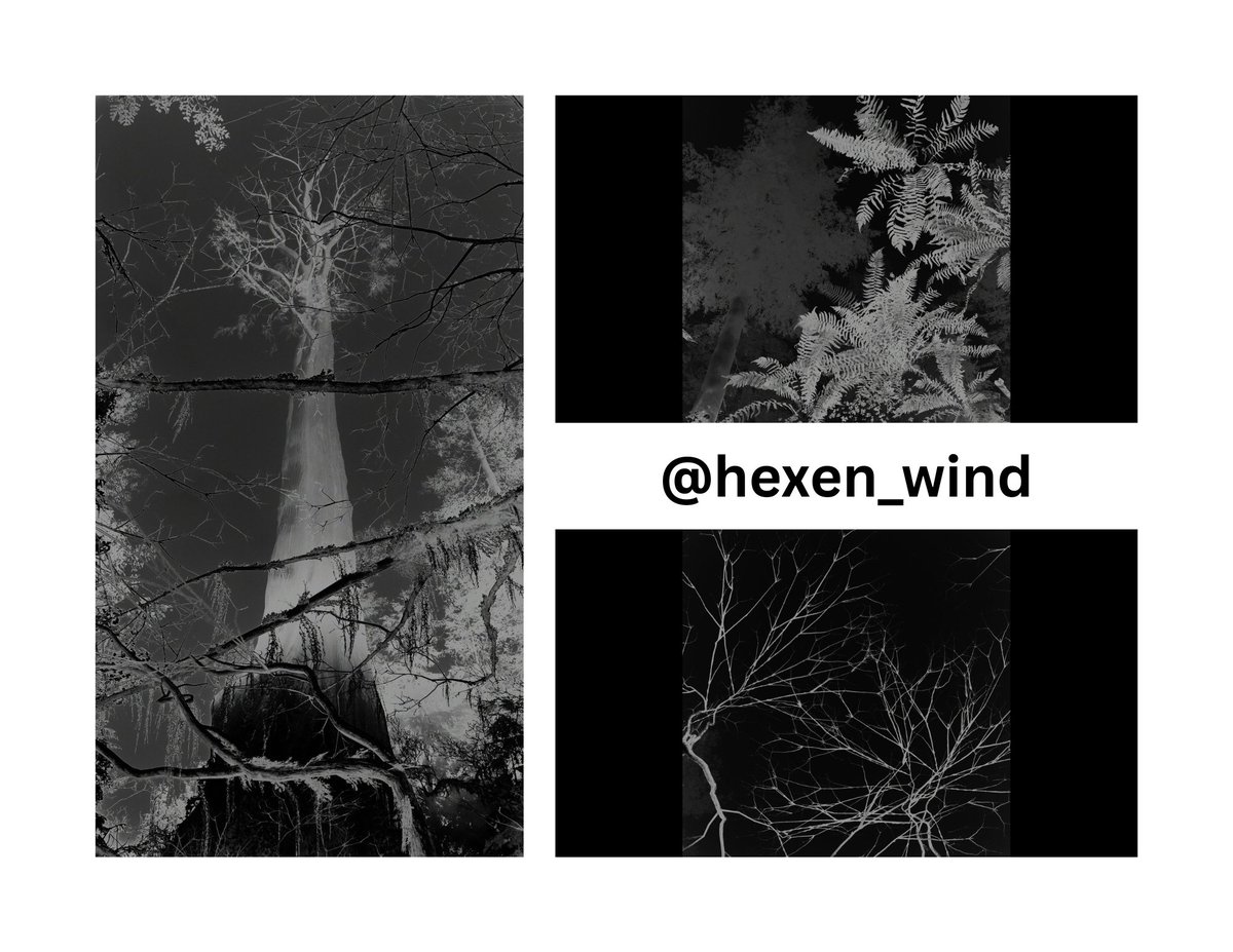 World of VP tweet media