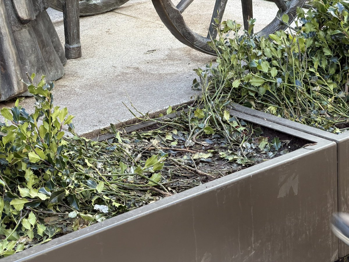 Andy Bohm tweet media