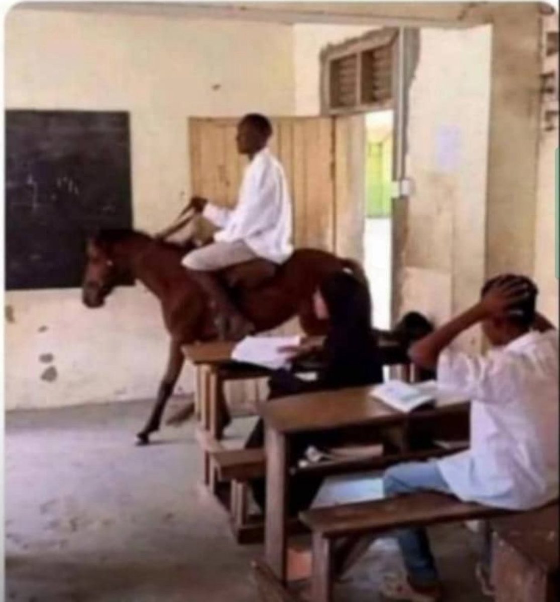 Dr. Black tweet media