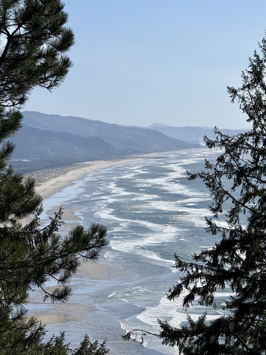 DaveAtWACH's tweet photo. The #Oregon coast is so darn dramatic. Love the #PNW. 🌊 https://t.co/GvyqZvTz7t