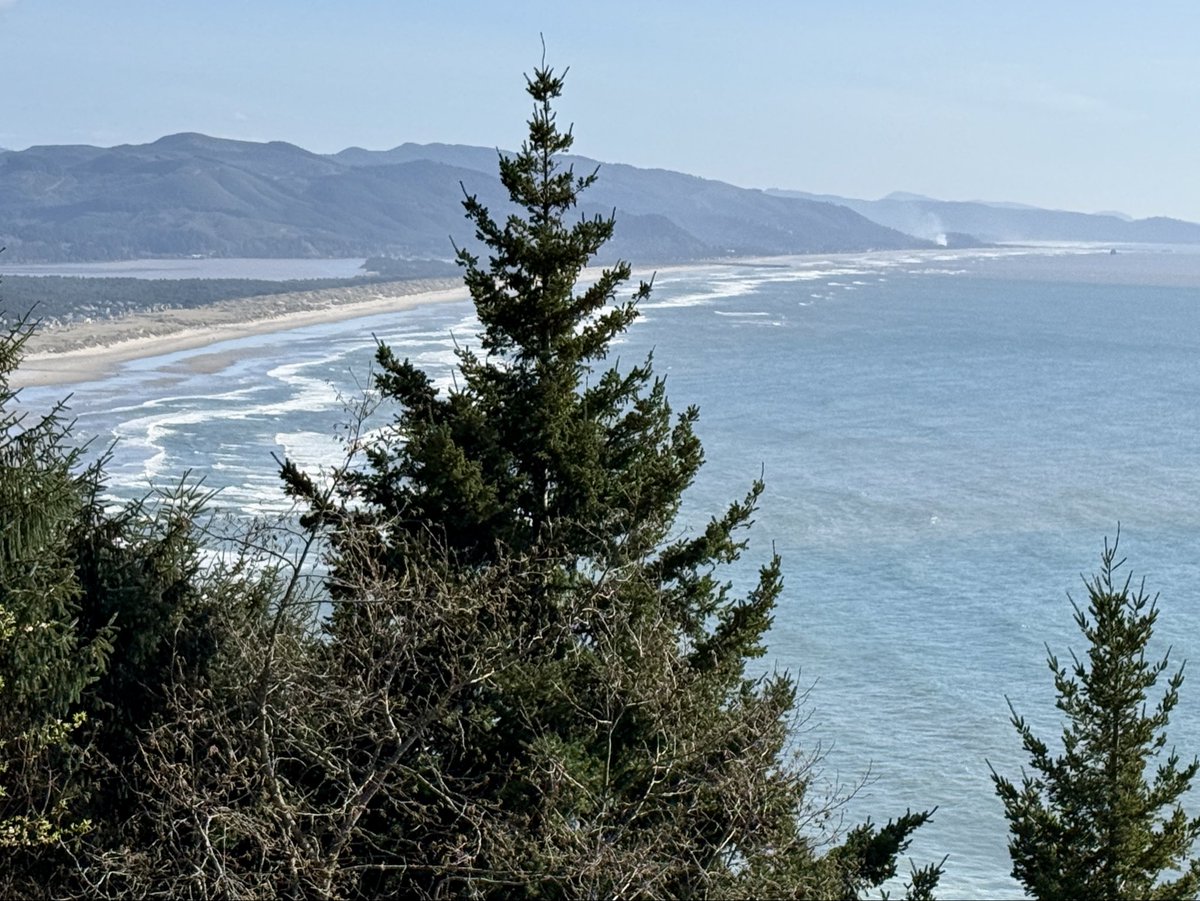 DaveAtWACH's tweet photo. The #Oregon coast is so darn dramatic. Love the #PNW. 🌊 https://t.co/GvyqZvTz7t