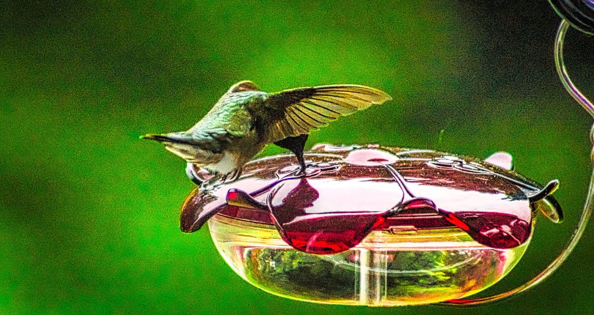 The Happy Rising Guy tweet media