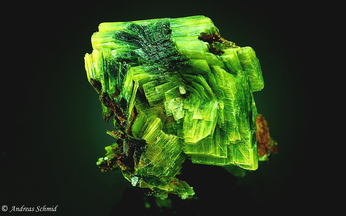 Claudia_Zahn's tweet photo. Meta-#Autunite
#Germany 
Photo by Andreas Schmid
By #GeologicalWondersToo / Karen Kemp
#Geology #GeologyPage #Nature #Minerals #Crystals #Gems #Nature #NatureLovers #NaturePhotography #Photographer #RockPorn https://t.co/SXf8oX3Uep