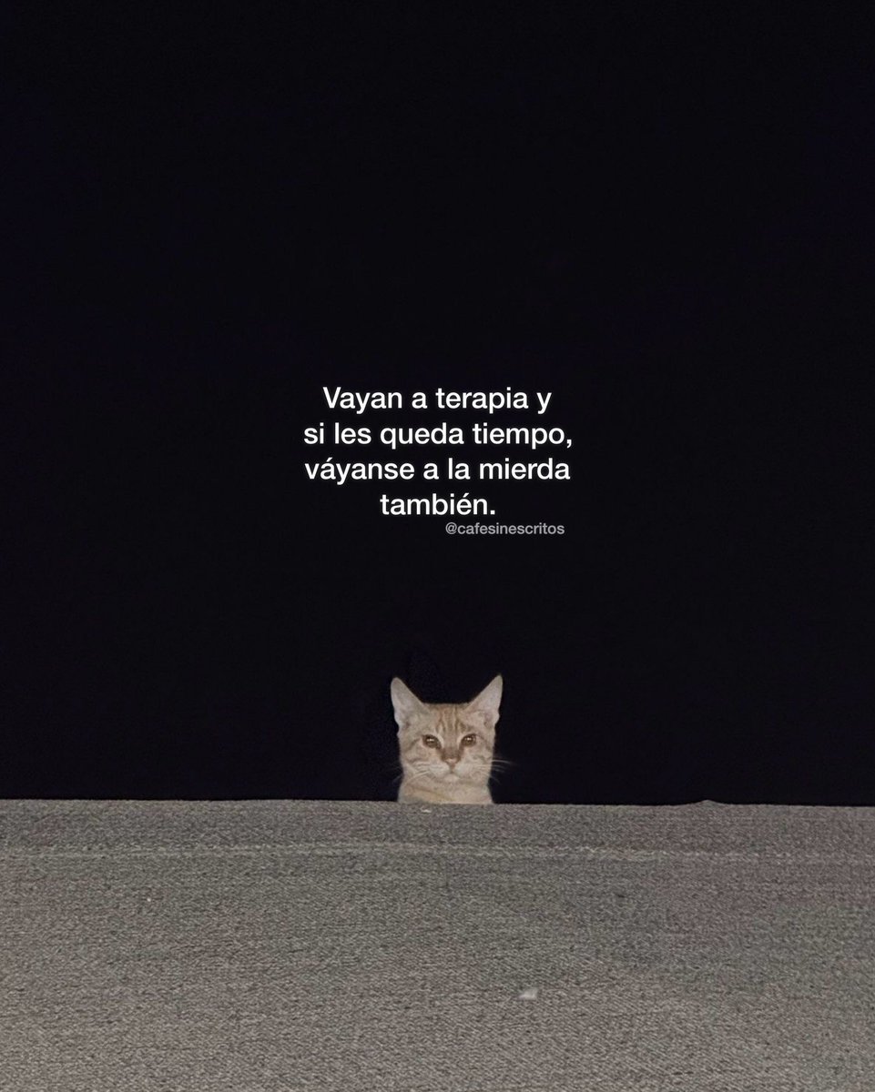 Mundo de Bigotes (@mundodebigotes) on Twitter photo 