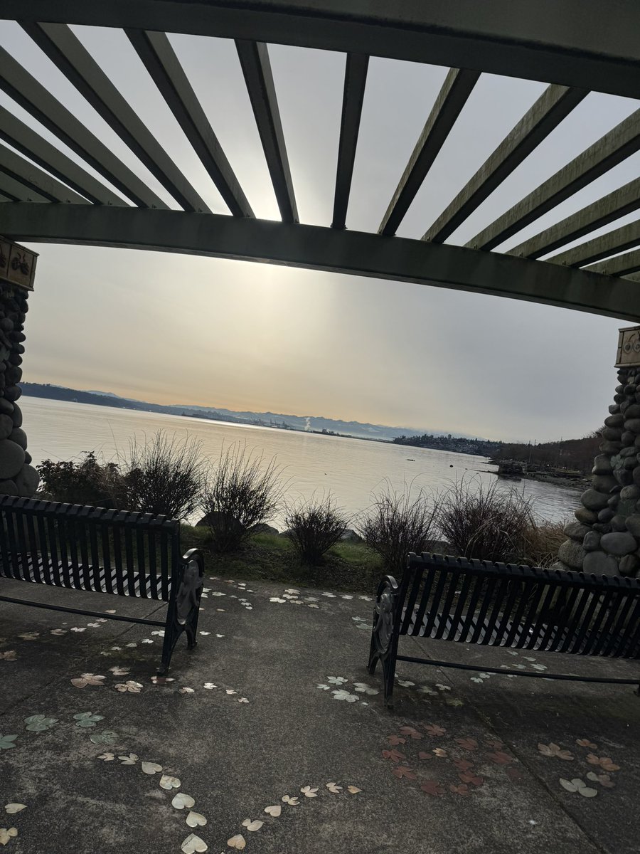 4eyedmonkey 🤓😎🥸 tweet media