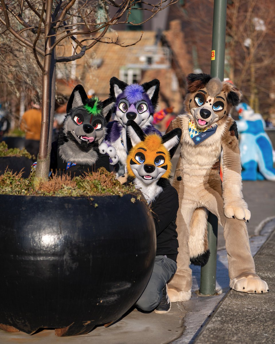 Blix 🎾 tweet media