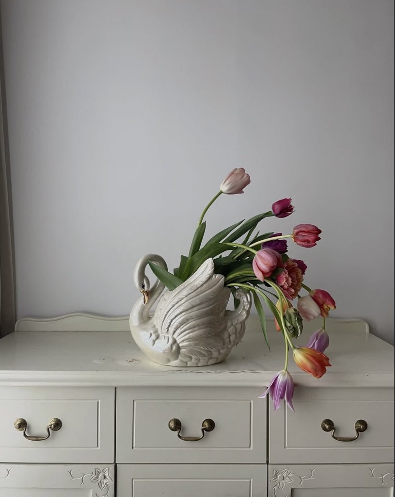 Lily ✮⋆˙ tweet media