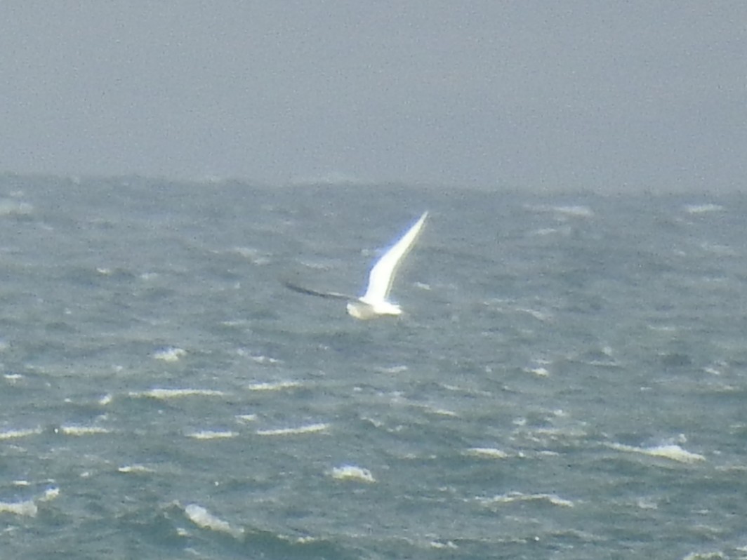 Frank Cavanagh tweet media