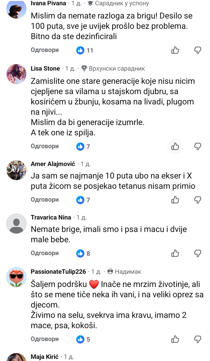 dzgb tweet media